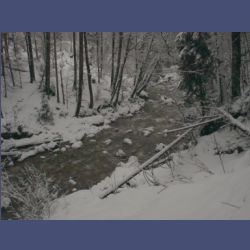 2013-02-02_Rappinschlucht_Lainlalm (024).jpg